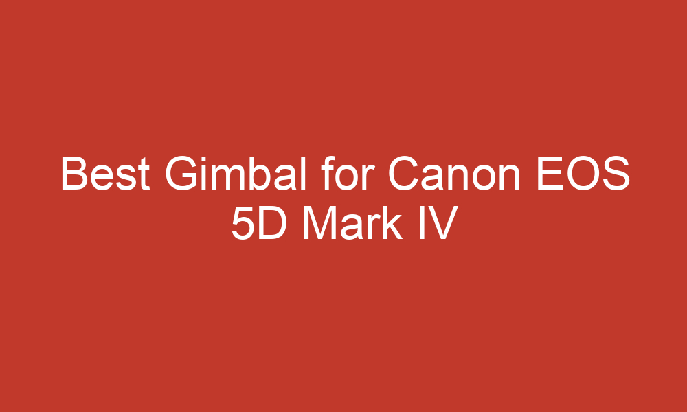 best gimbal for canon eos 5d mark iv 12987 1