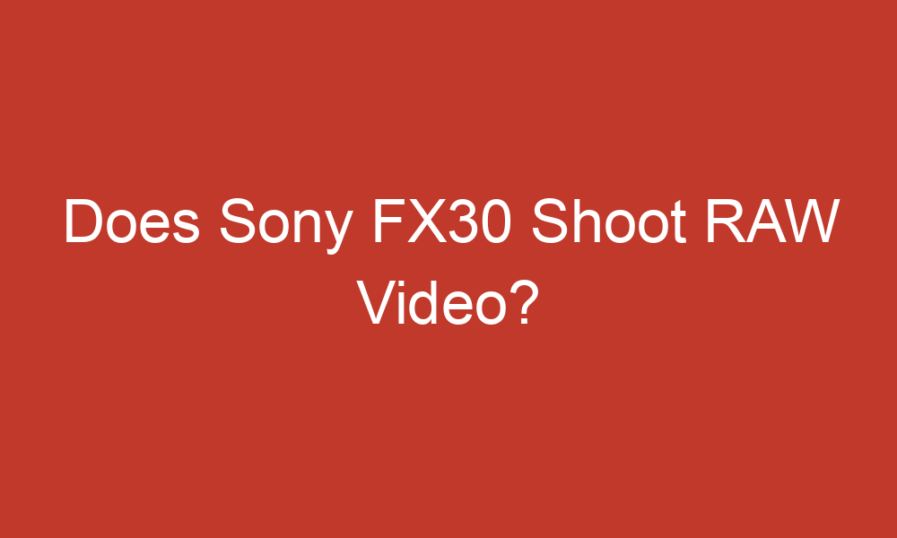 Does Sony FX30 Shoot RAW Video?