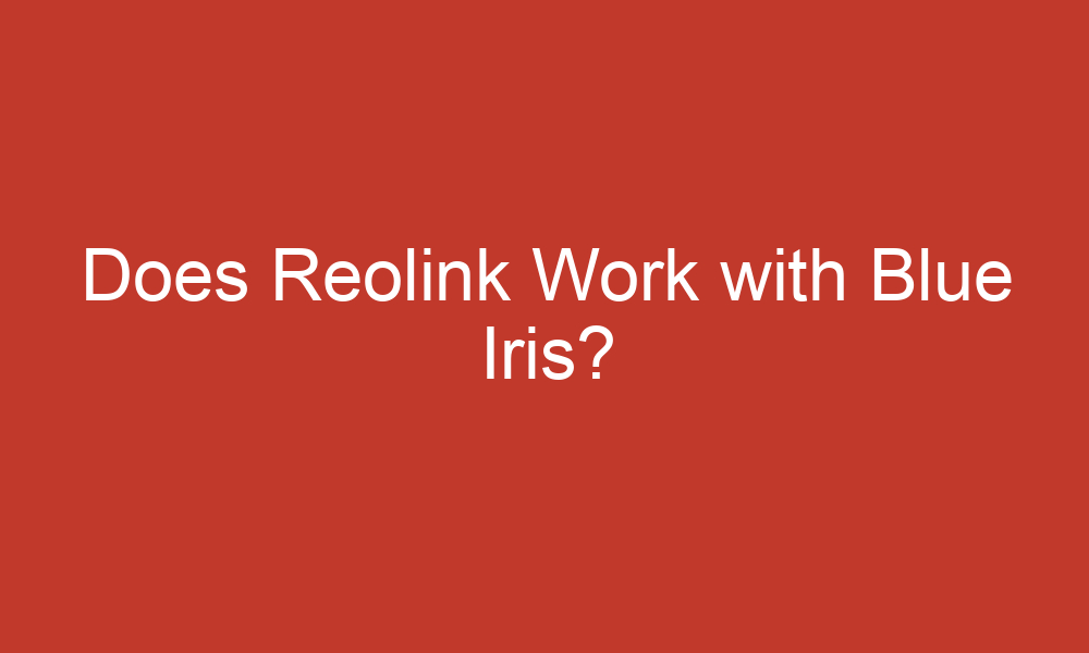 does reolink work with blue iris 13343