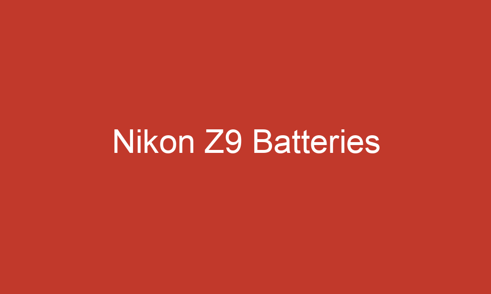 What is the Best Nikon Z9 Battery?
